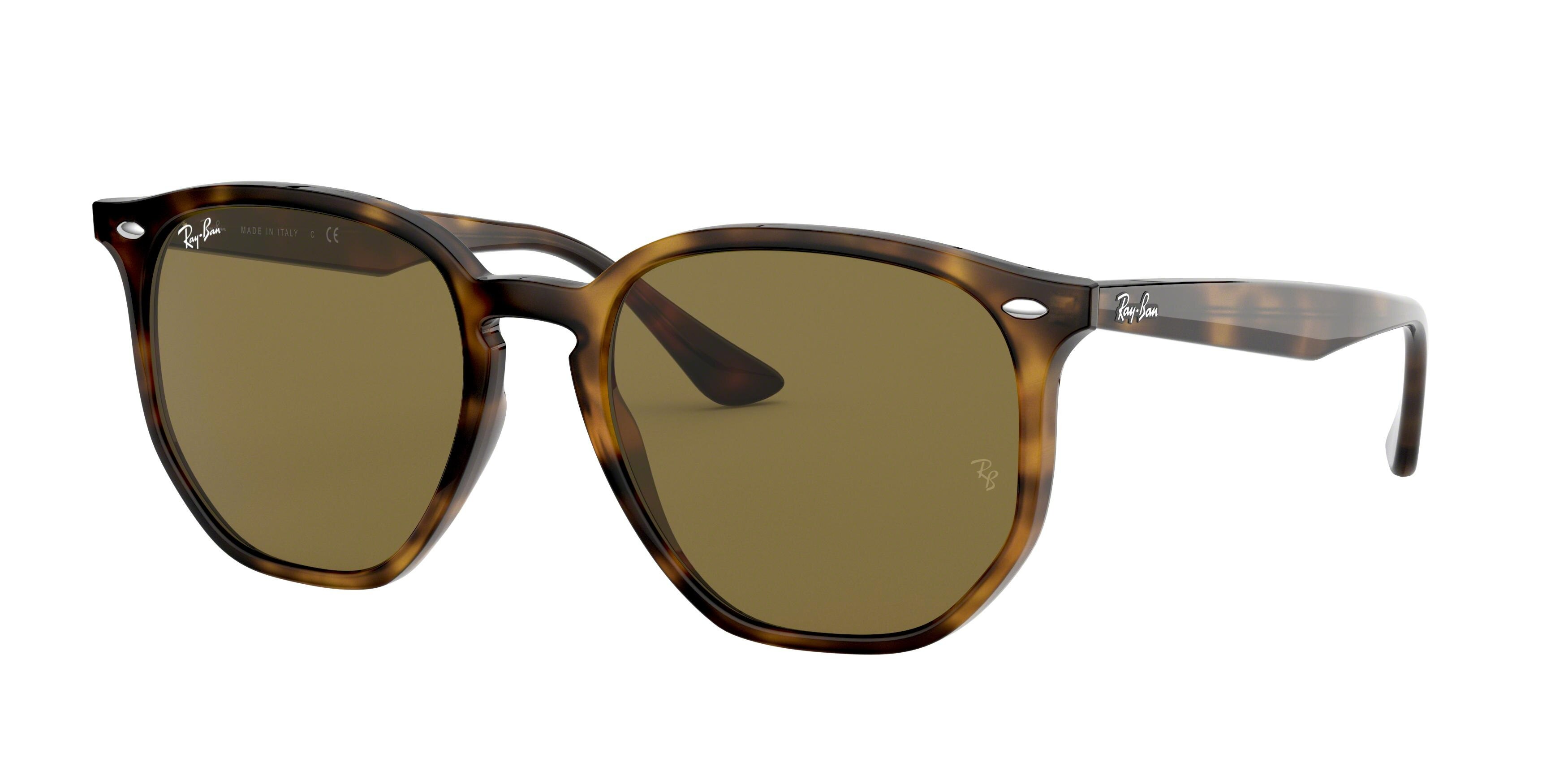 Ray - Ban Unisex RB4306 710/73 Aurinkolasit Injektoitu Kilpikonna Geometrinen Normaali-image